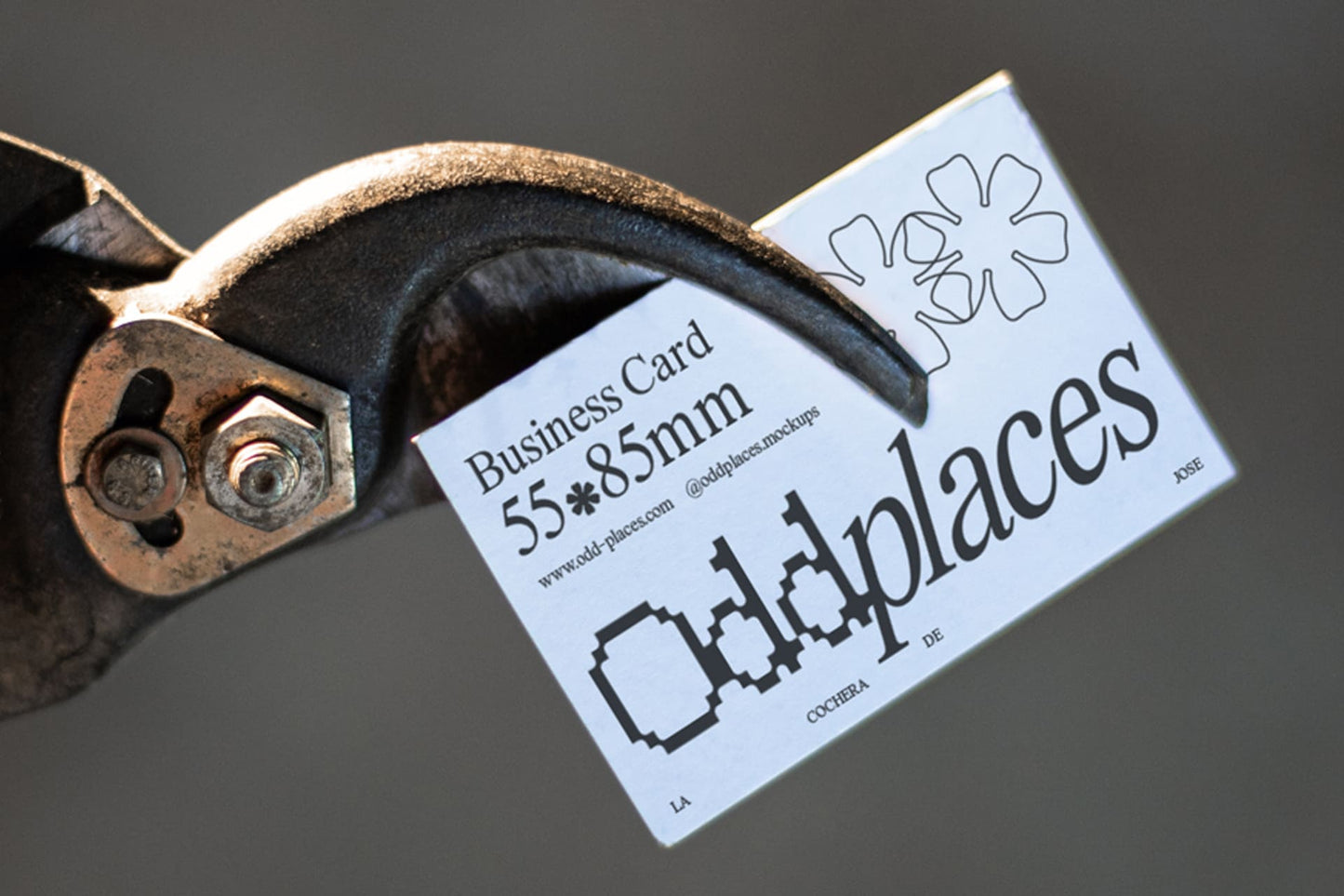 Odd-LCJ-Card-01