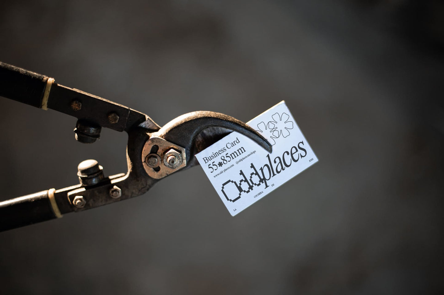 Odd-LCJ-Card-01